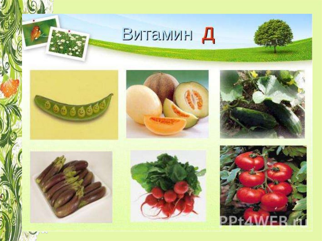 Какие витамины есть в фруктах и овощах. Витамин д в овощах и фруктах. Фрукты с витамином д. Витамин д в овощах. Фрукты и овощи содержащие витамин д.