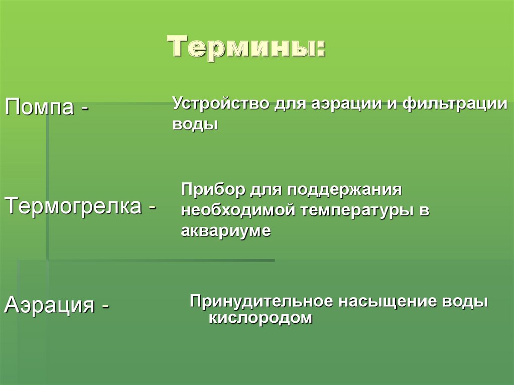 Термины: