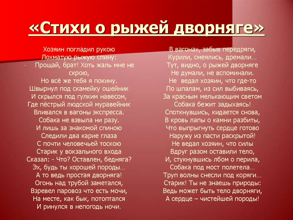 Стих о рыжей дворняге текст. Стих о рыжей дворняге. Асадов стихи о рыжей дворняге. Стих о рыжей.