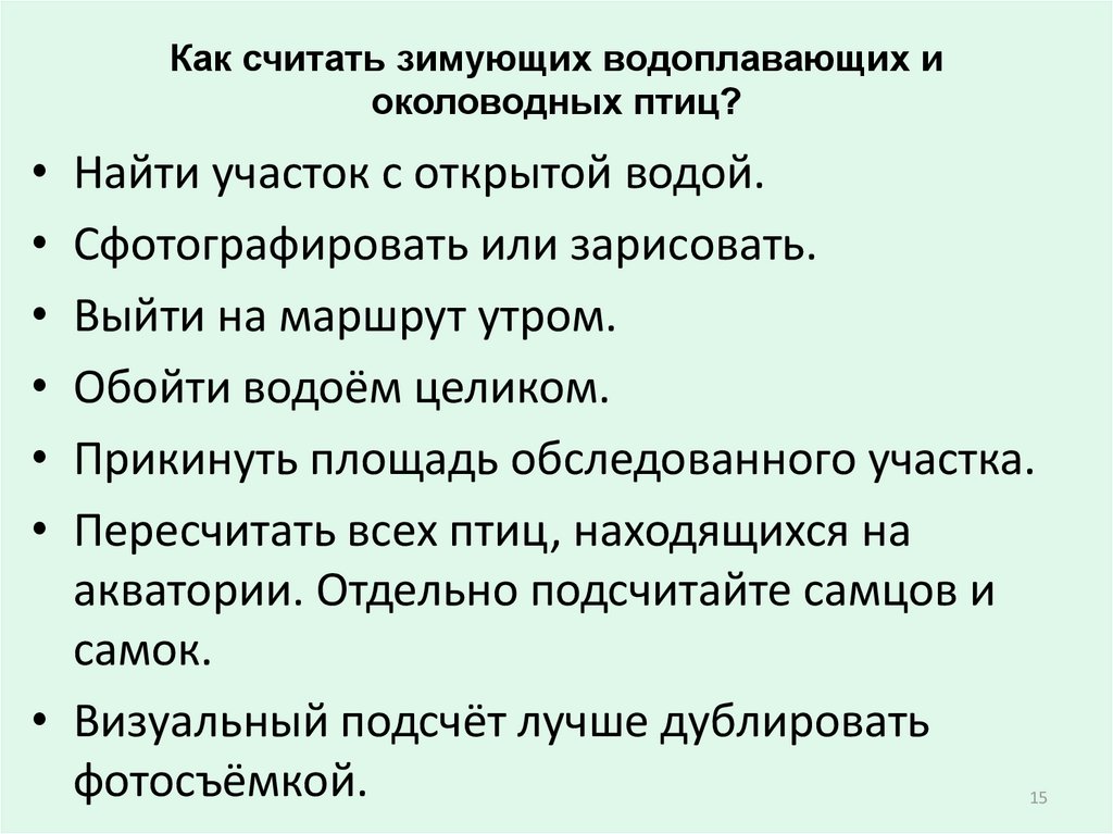 Как считать зимующих водоплавающих и околоводных птиц?