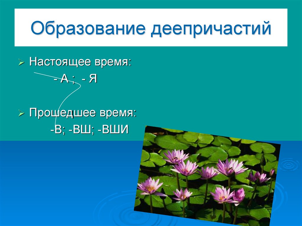 Деепричастие прошедшего времени