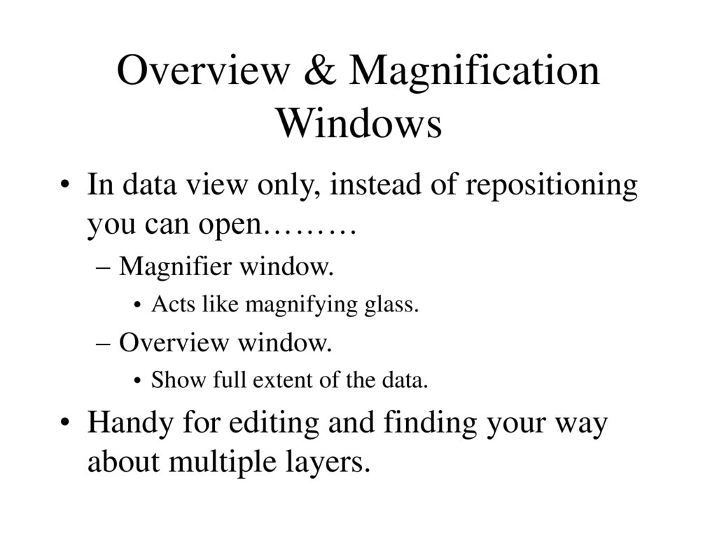Overview & Magnification Windows