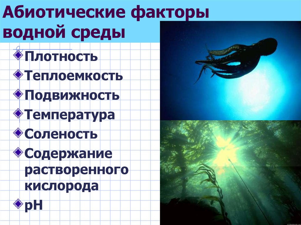 Вода какой фактор. Абиотические факторы вода. Физические факторы водной среды. Абиотические факторы соленость воды. Плотность абиотический фактор.