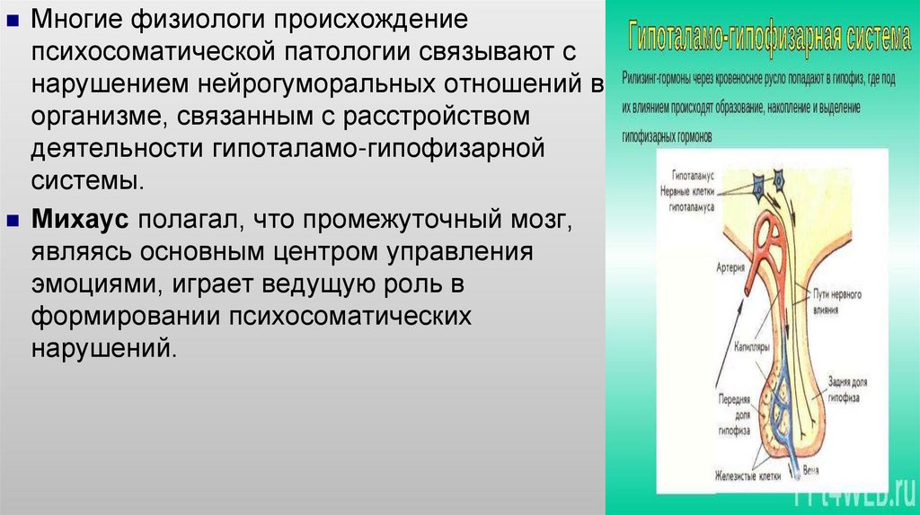 Кортико висцеральная теория. Кортико-висцеральная патология. Кортико висцеральная патология физиология. Нейрогуморальная теория. Кортико-висцеральные рефлексы.