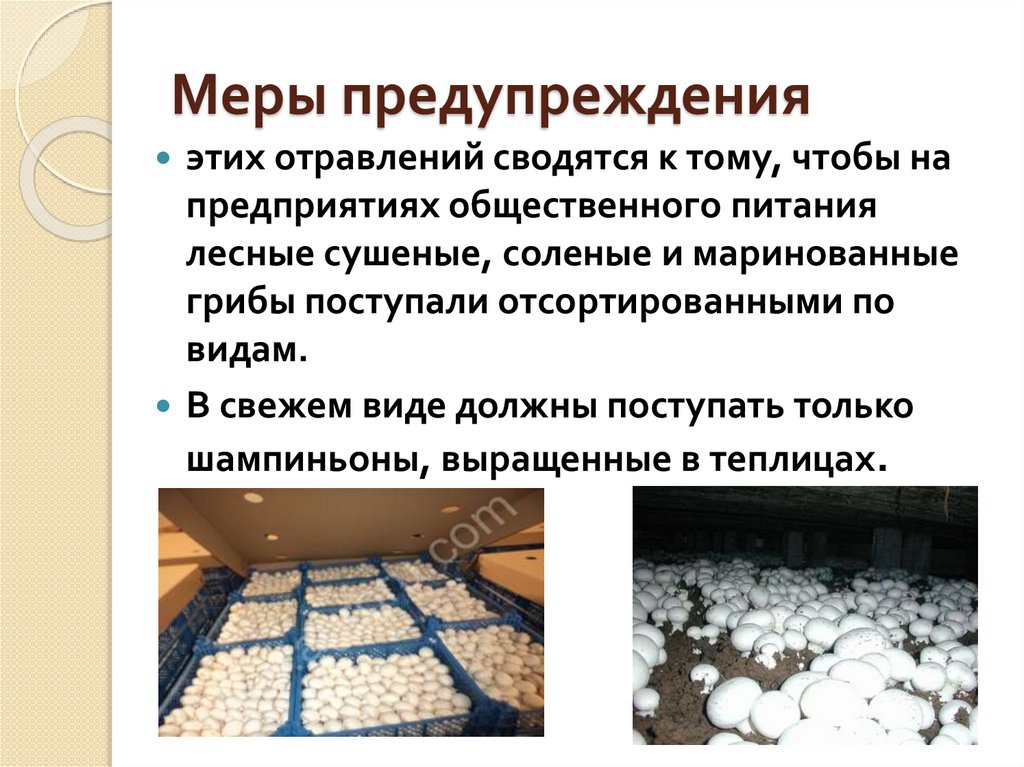 Меры предупреждения