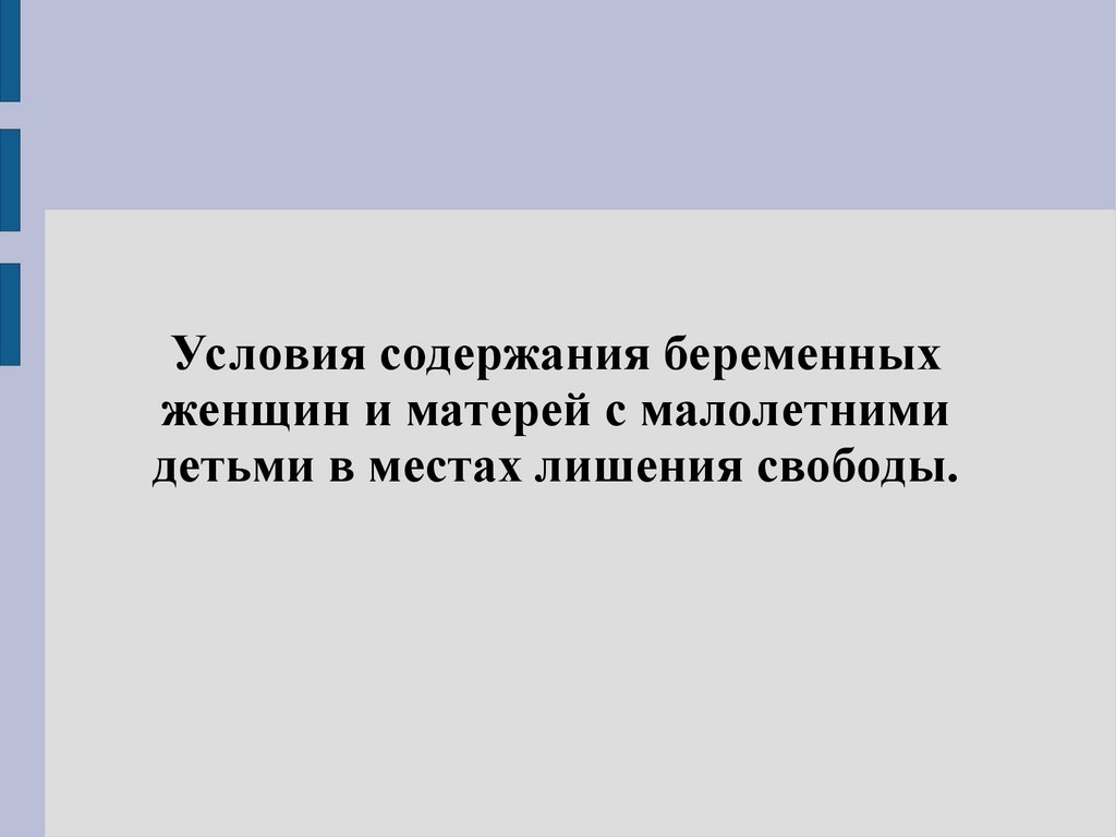 Условия содержания беременных женщин и матерей с малолетними детьми в