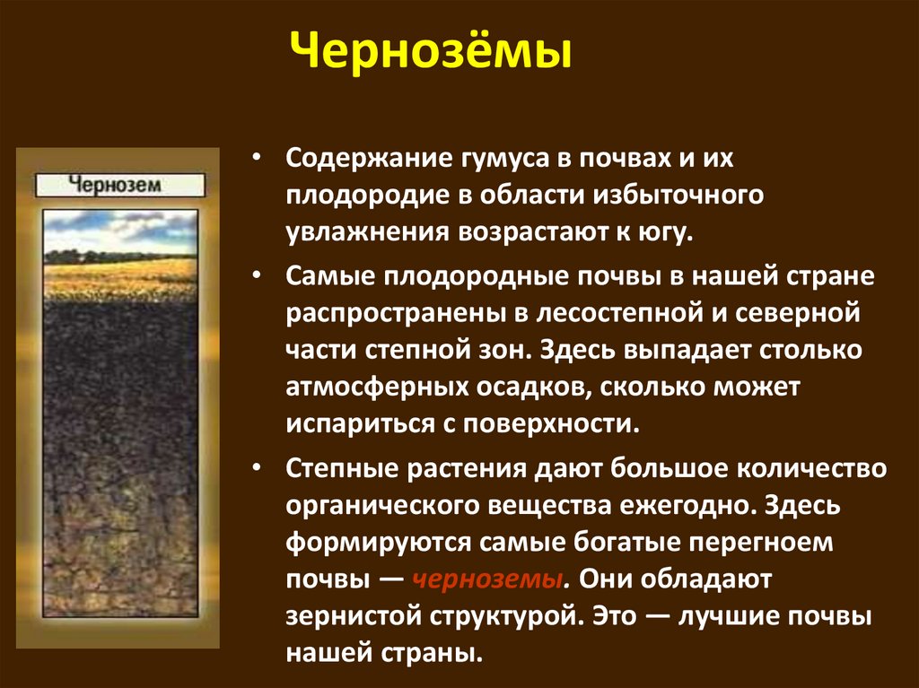 Какие почвы в петербурге. Характеристика почв России черноземы. Почвы, почвы России : типы , черноземы. Тип почвы чернозем. Типы черноземных почв.