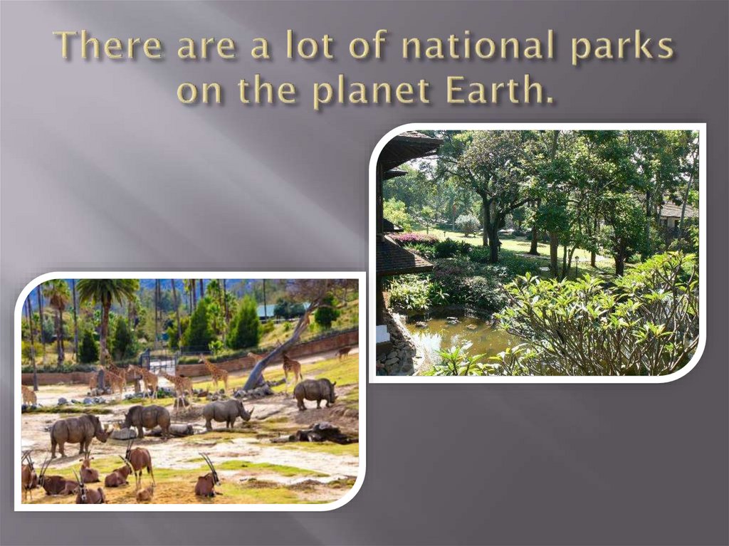 There are a lot of national parks on the planet Earth.