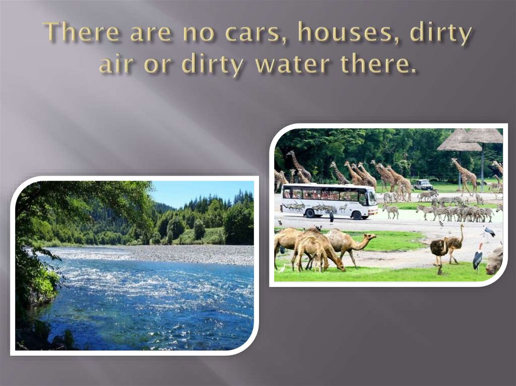 There are no cars, houses, dirty air or dirty water there.