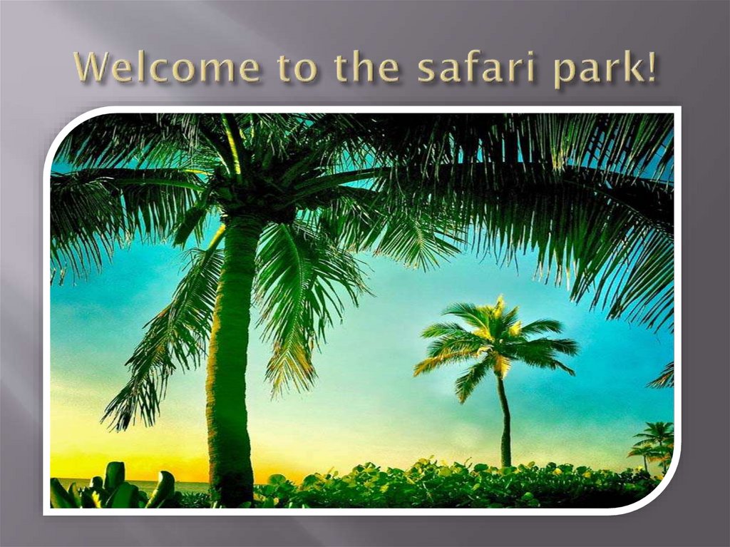 Welcome to the safari park!