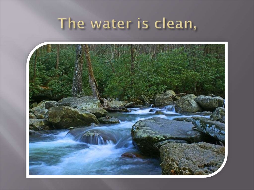 The water is clean,