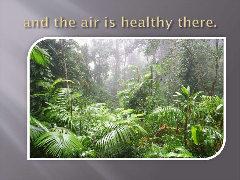 and the air is healthy there.