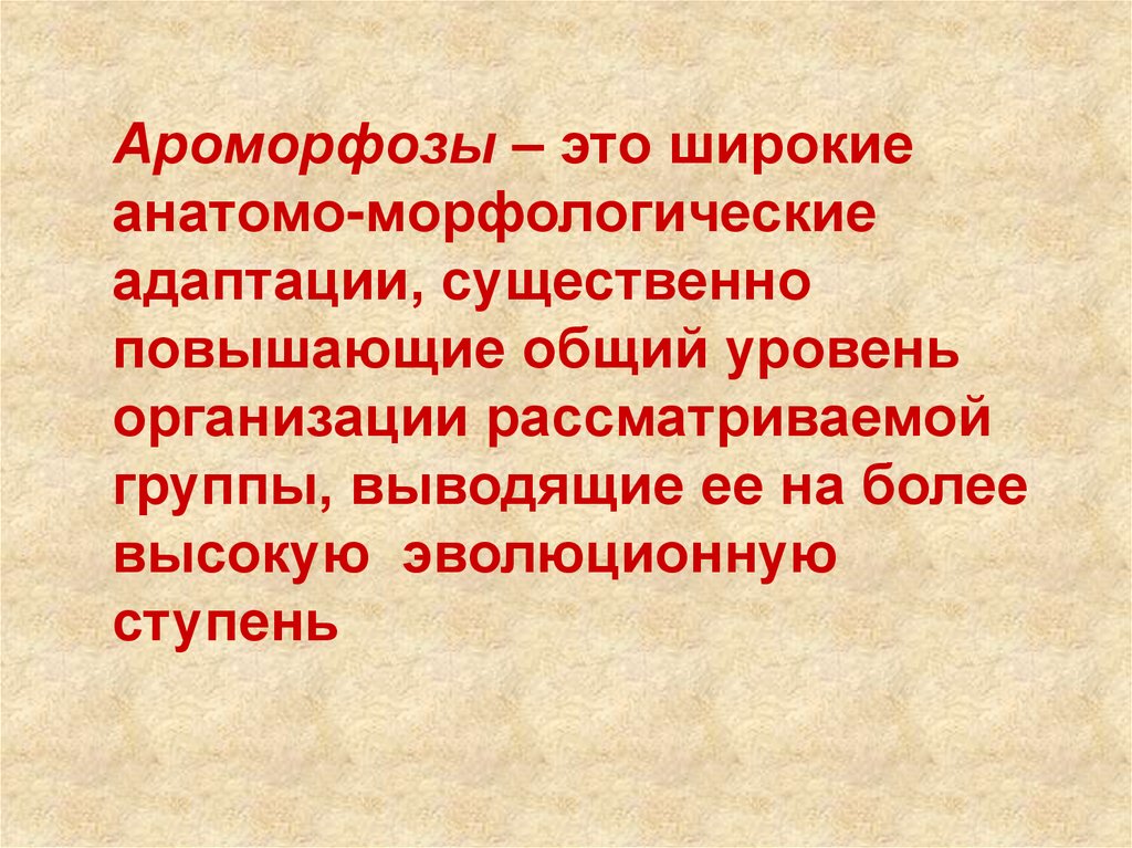 Ароморфоз презентация. Ароморфоз. Арогенез и ароморфозы. Ароморфоз кратко и понятно. Ароморфоз это в биологии кратко.