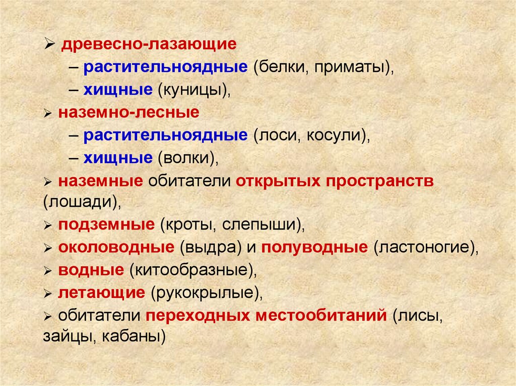 Крот ароморфоз. Ароморфозы приматов. Ароморфозы членистоногих. Алломорфоз и специализация.