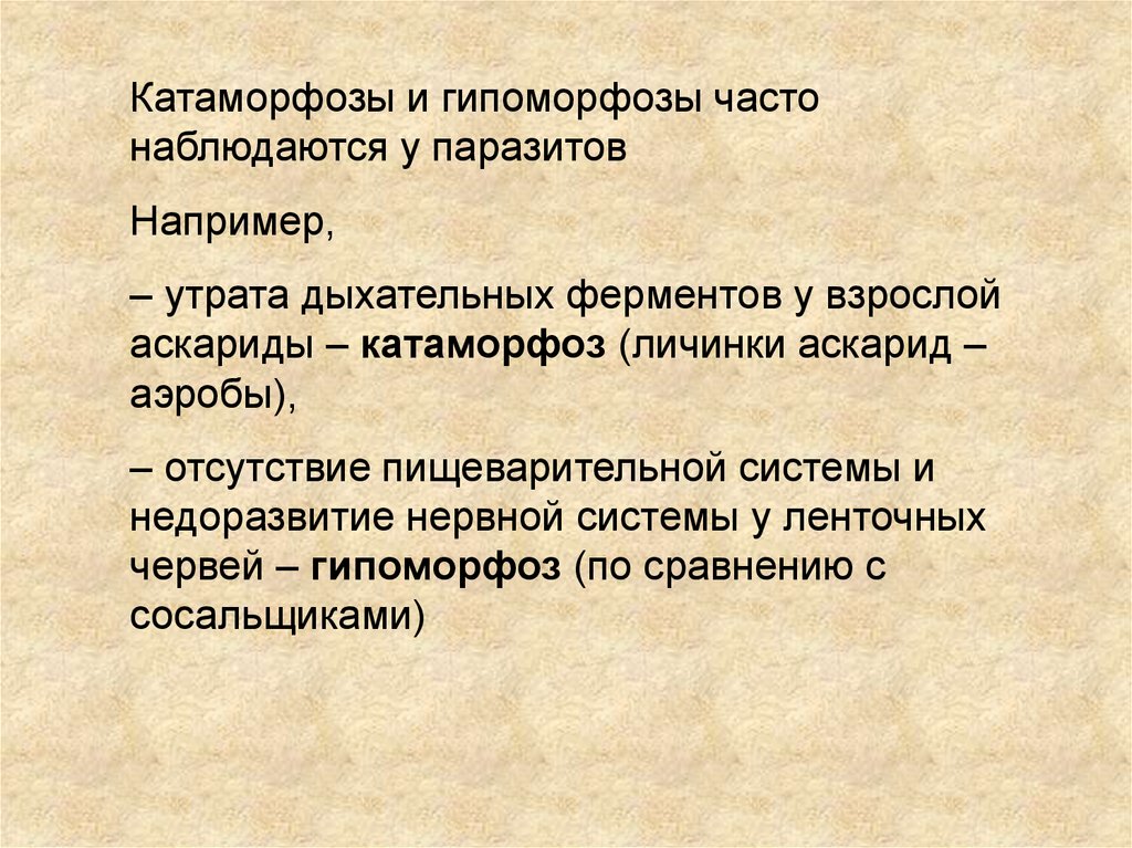 Ароморфоз презентация. Катаморфоз примеры. Гипоморфоз примеры. Ароморфозы ленточных червей. Ароморфозы паразитов.