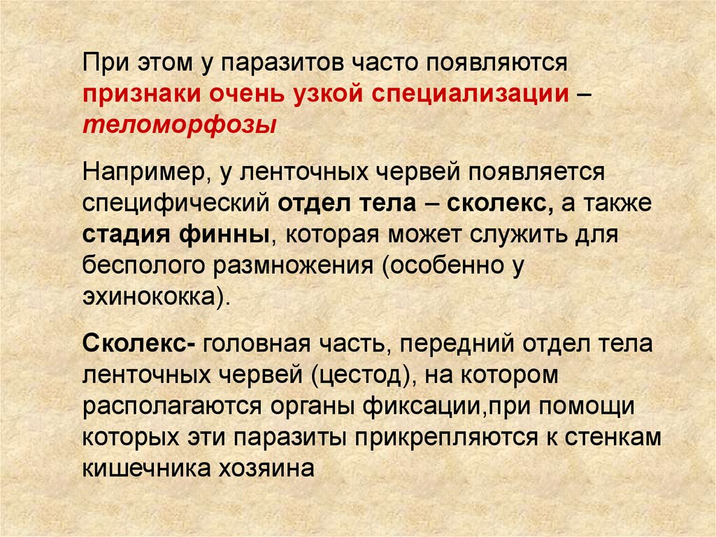 Катагенез. Арогенез. Ароморфозы паразитов. Арогенез признаки. Ароморфозы антропогенного периода.