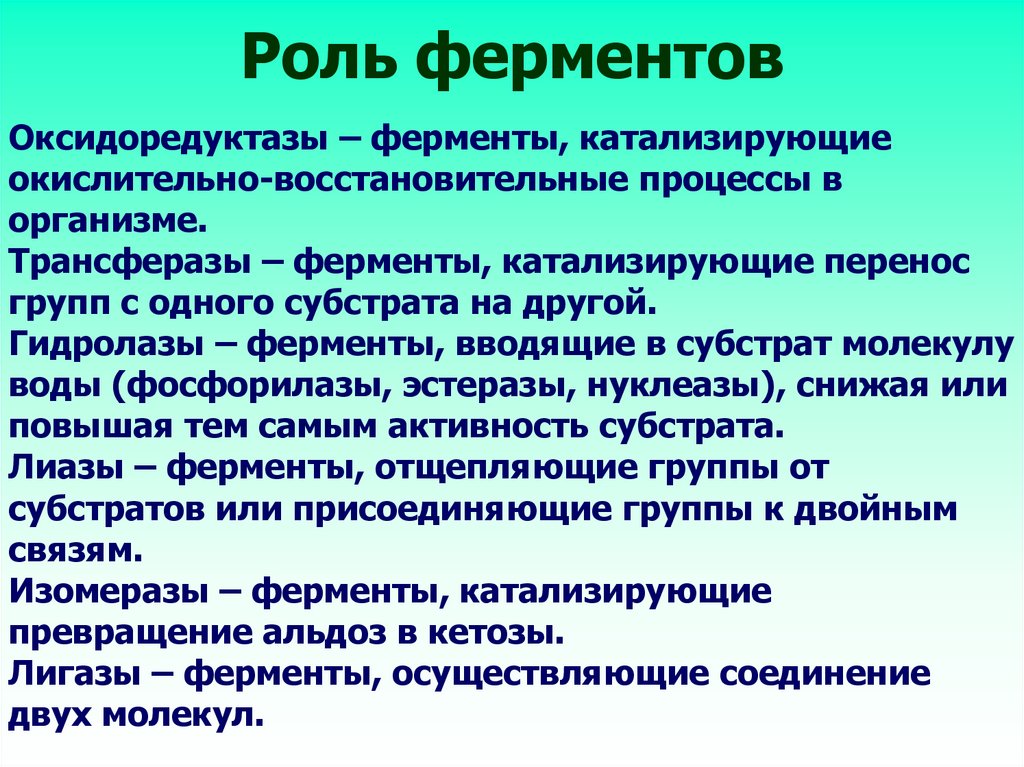 Ферменты и их роль в организме человека презентация 8 класс пасечник линия жизни