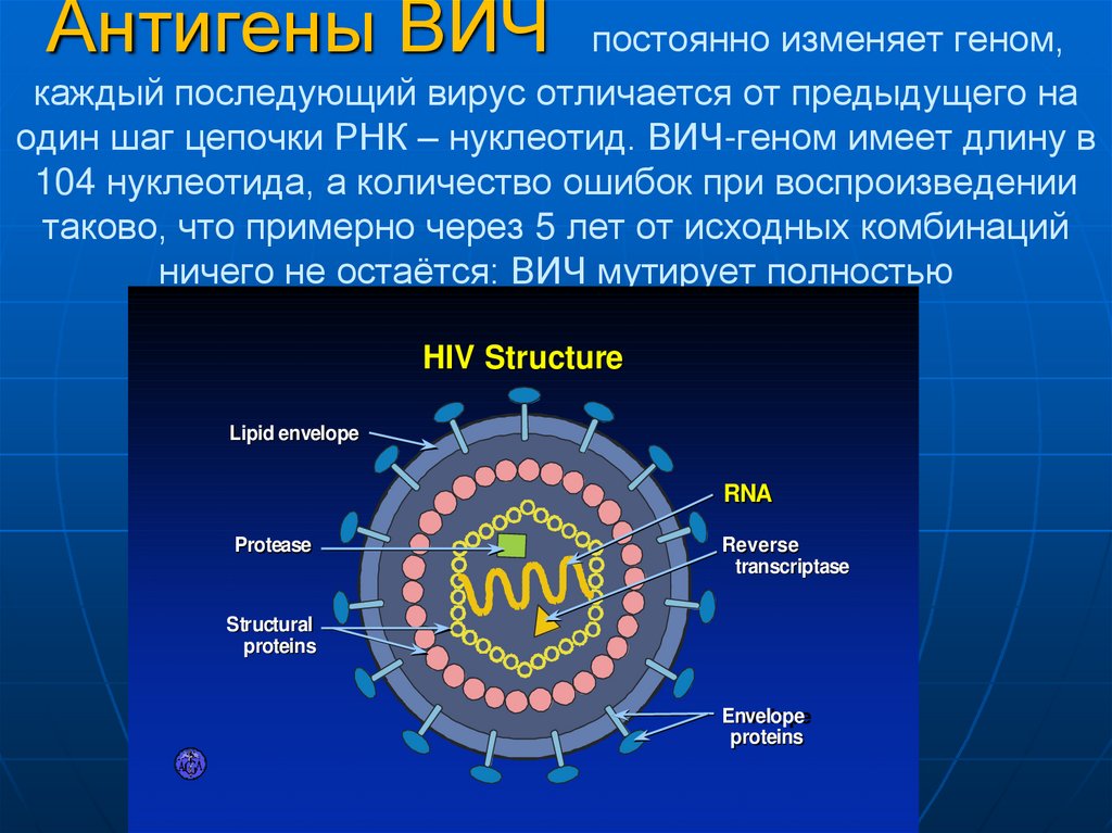 Тест антиген вич. Антигены ВИЧ. Вирус иммунодефицита человека с антигенами. Вирус ВИЧ 1.