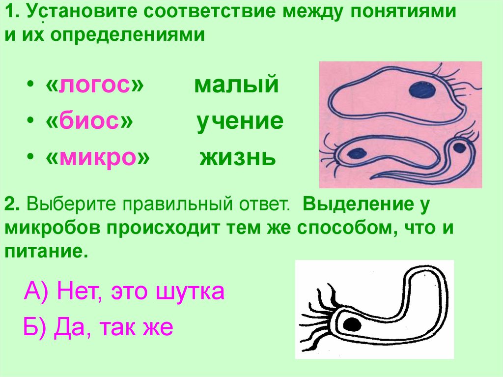 Восстановите соответствие между понятиями и их определениями пакет мост модем