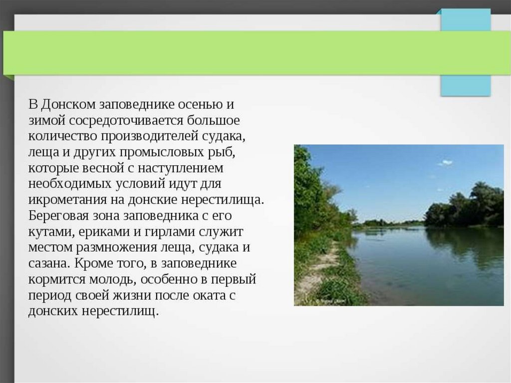 Заповедники ростовской области презентация