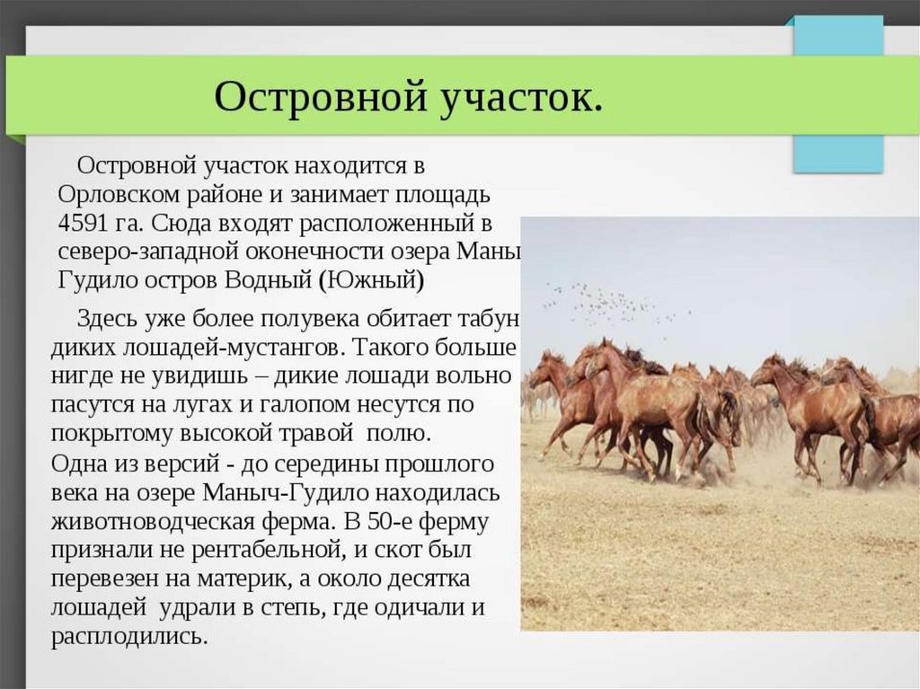 Заповедники и национальные парки ростовской области презентация