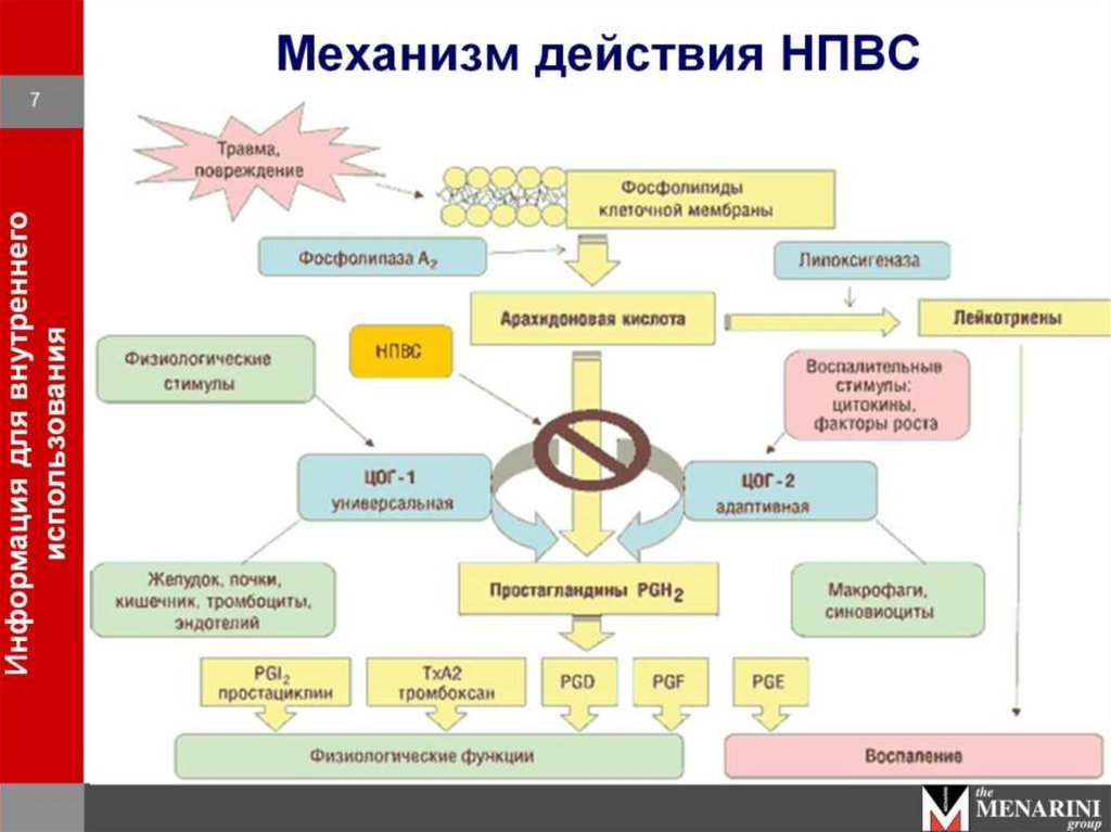 Противовоспалительные препараты презентация