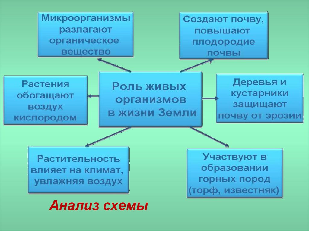 Растительные ресурсы презентация