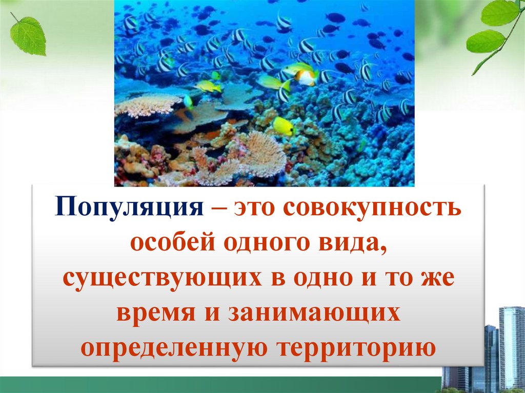 Популяционно видовой уровень общая характеристика 9 класс презентация