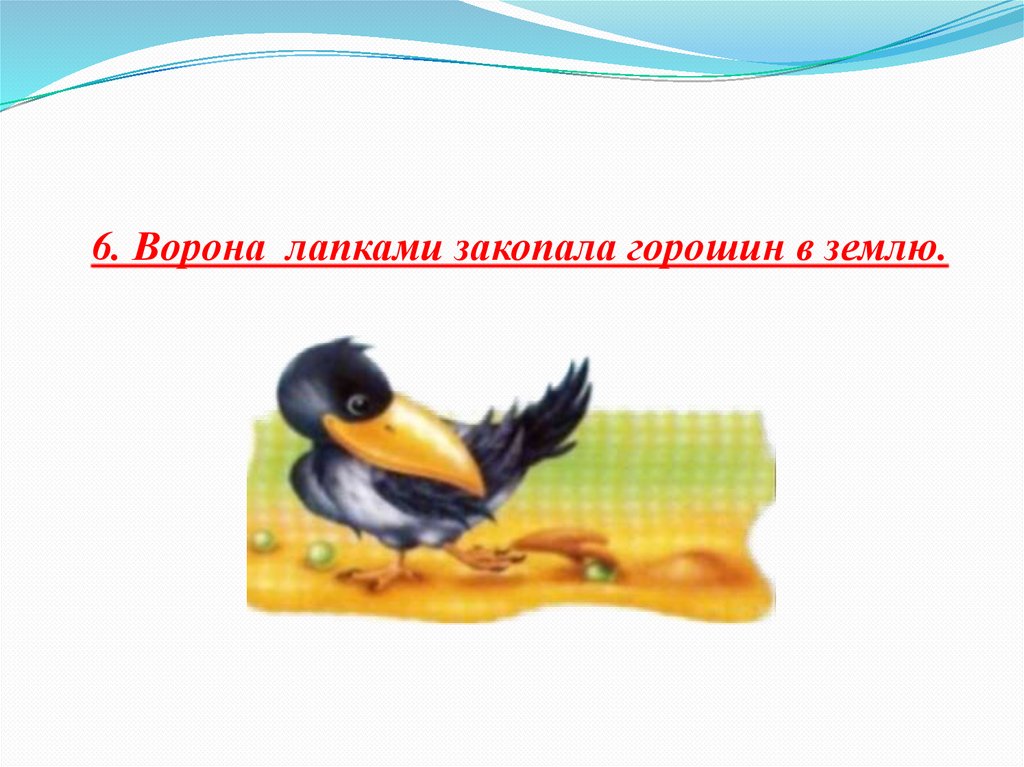 6. Ворона лапками закопала горошин в землю.