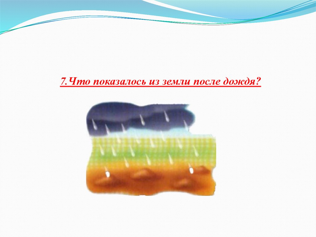 7.Что показалось из земли после дождя?