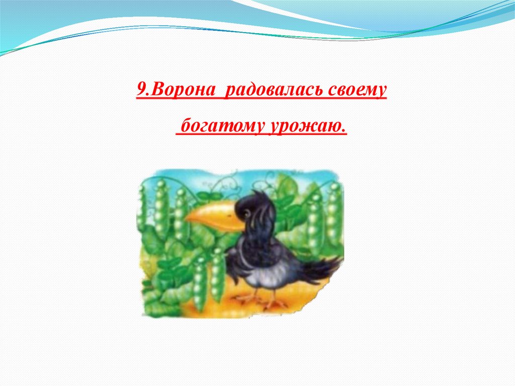 9.Ворона радовалась своему богатому урожаю.