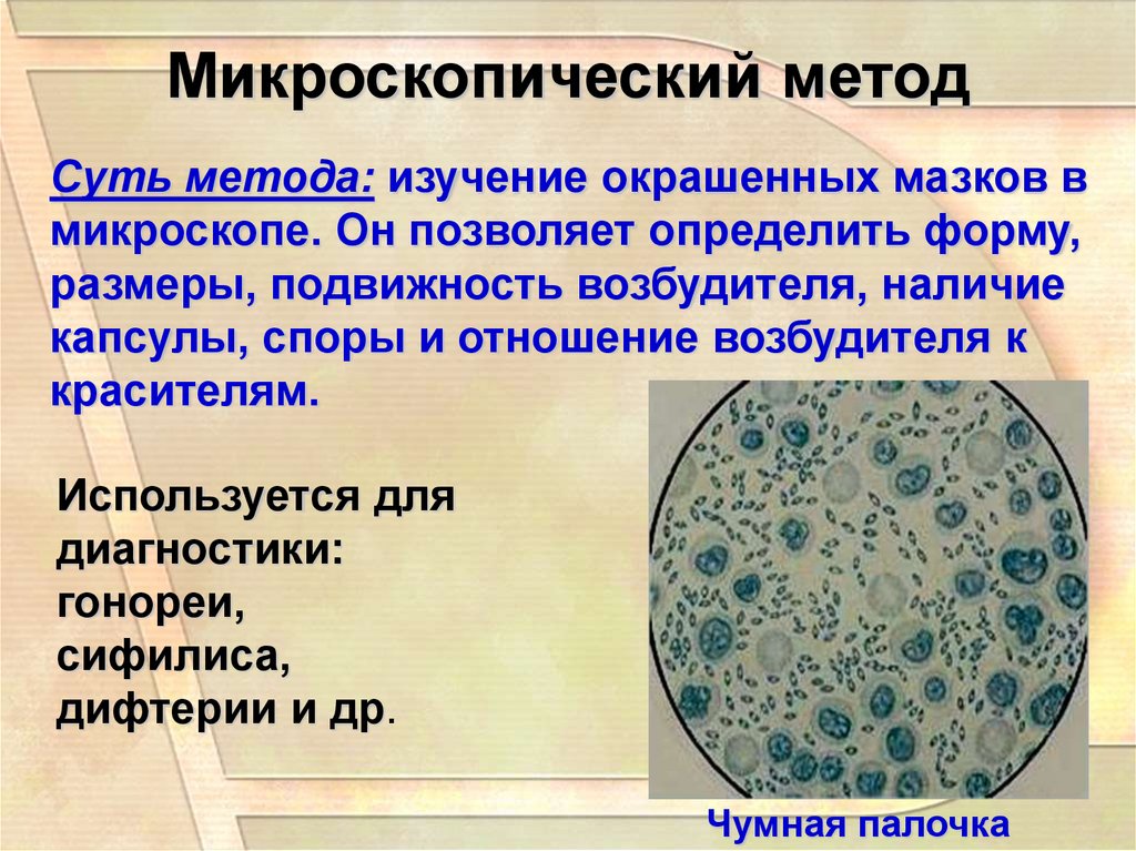 Микробиологическая лаборатория презентация