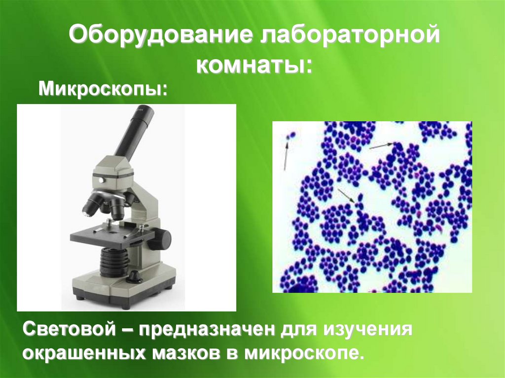 Микробиологическая лаборатория презентация