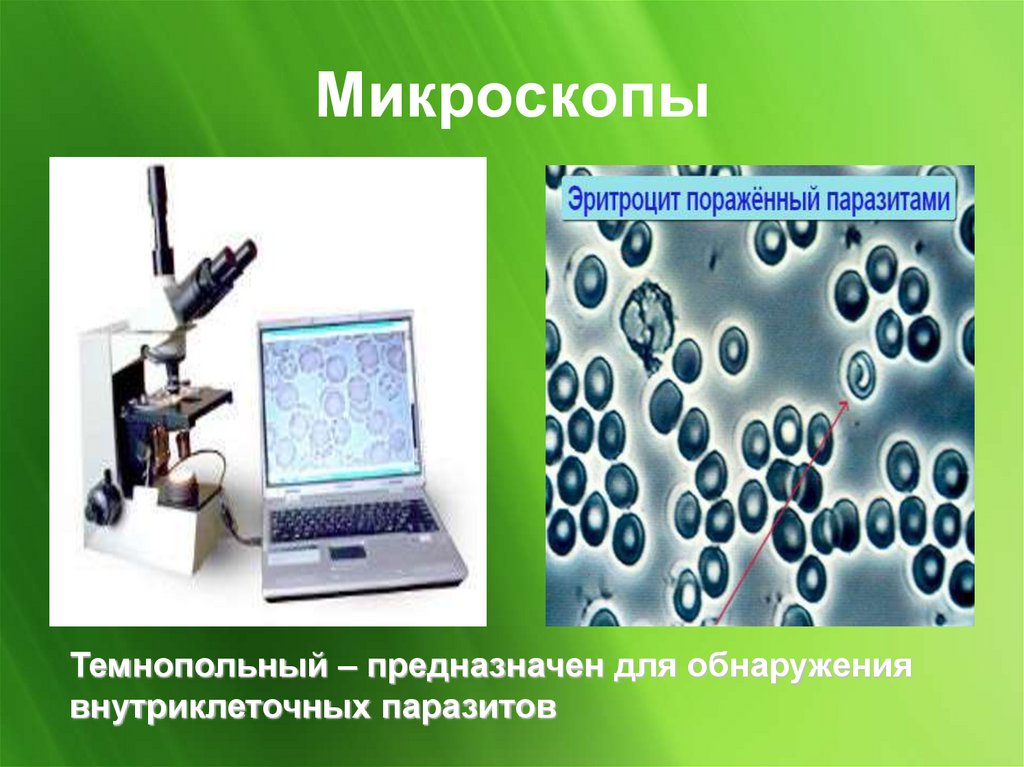 Микроскопы