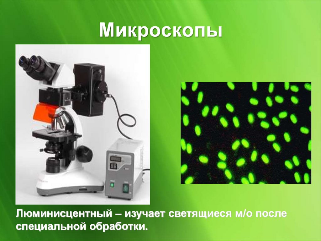 Микроскопы