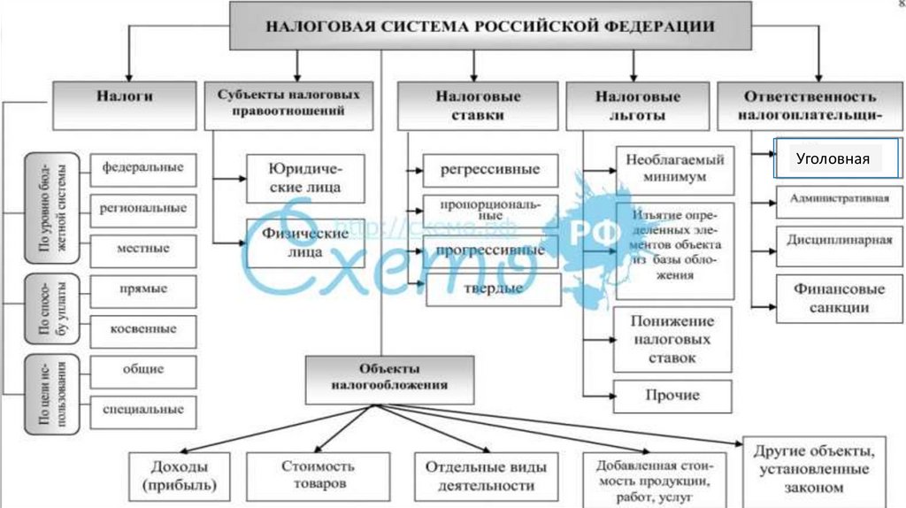 Схема система налогов и сборов в рф