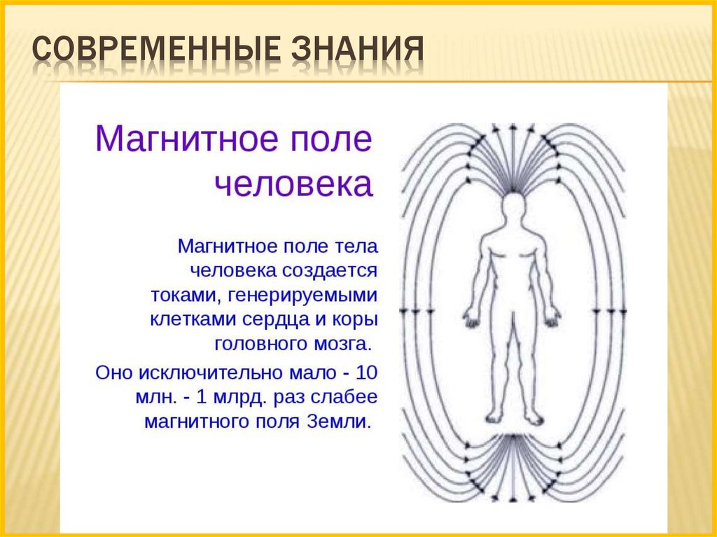 Магнитные поля их измерения и воздействие на живые организмы проект по физике