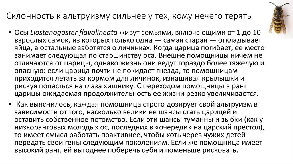 Склонность к альтруизму сильнее у тех, кому нечего терять