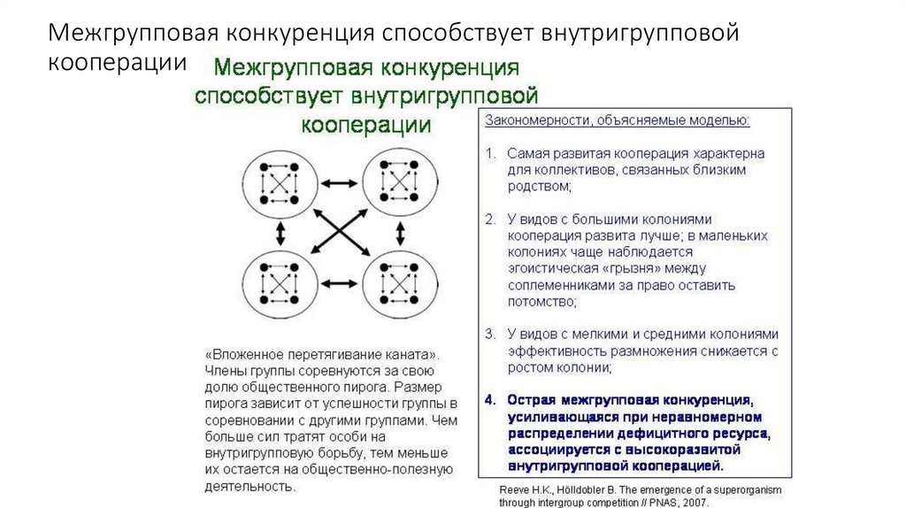 Межгрупповая конкуренция способствует внутригрупповой кооперации