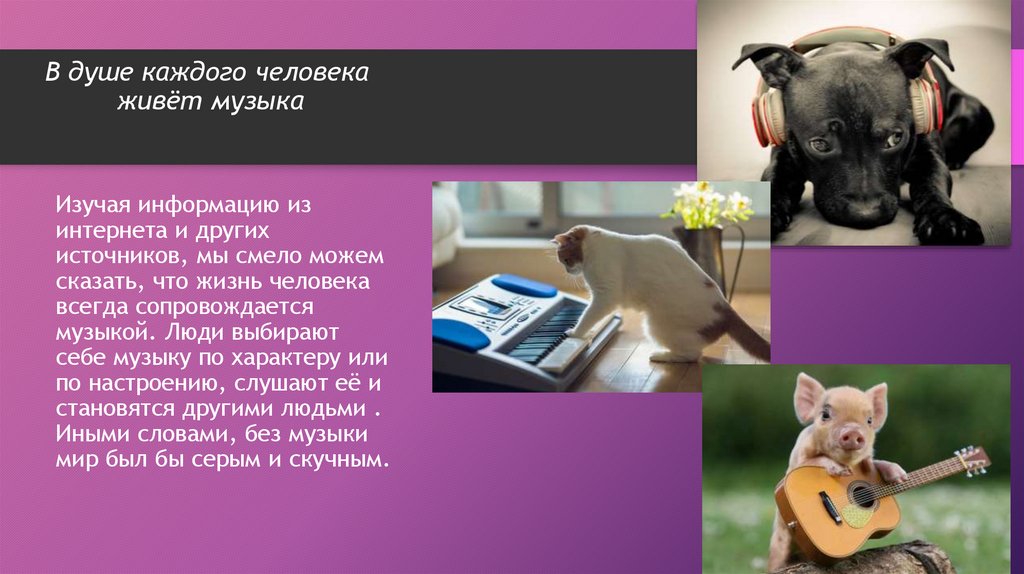 В душе каждого человека живёт музыка