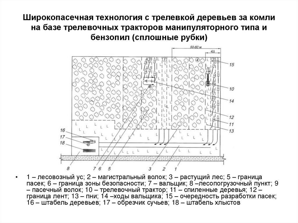 Технологическая карта лесосечных работ составляется на каждую лесосеку на основе данных