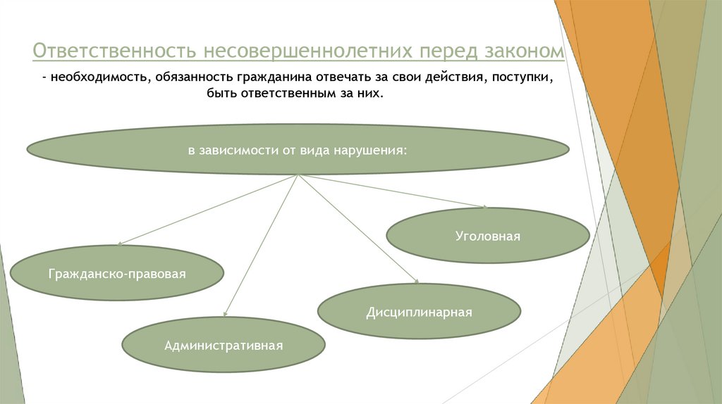 Проект ответственность