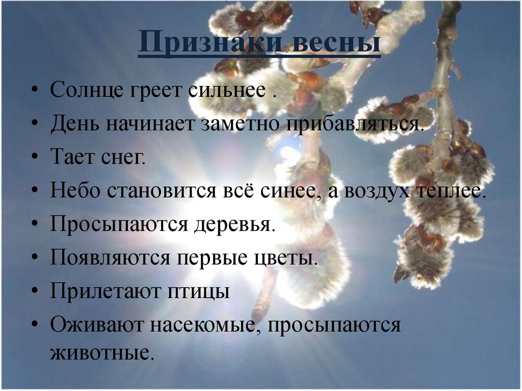 День начал прибавляться. Признаки весны солнце греет. Признаки весны солнце греет сильнее. 10 Признаков весны. День начинает прибавляться.