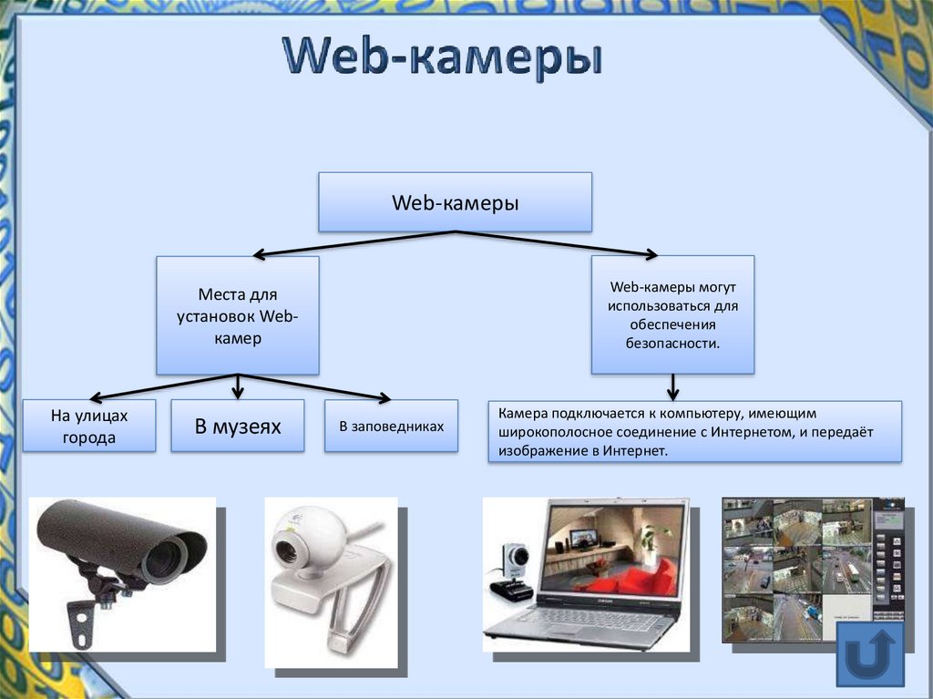 Веб вид. Презентация на тему веб камера. Веб камера презентация по информатике. Виды веб камер. Виды веб камер Информатика.