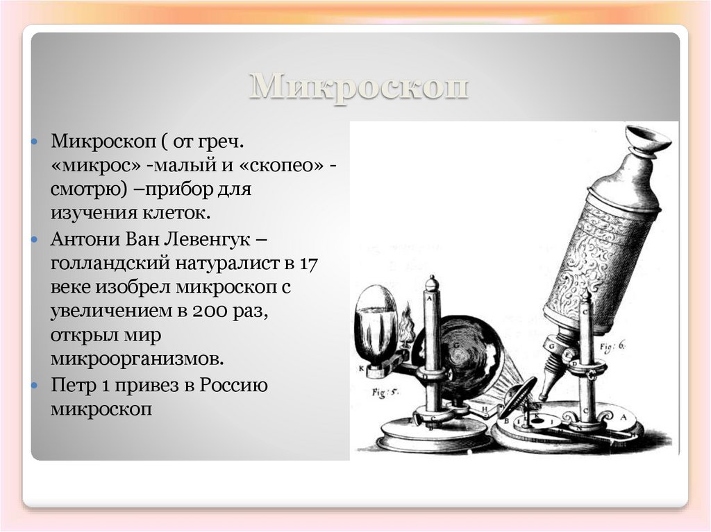 В каком веке был изобретен 1 микроскоп