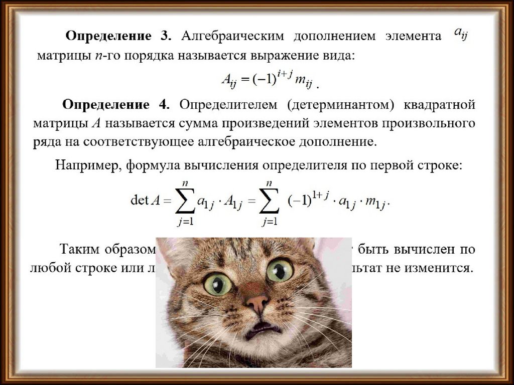 «Определитель (детерминант) квадратной матрицы». Лекция 3 - презентация ...