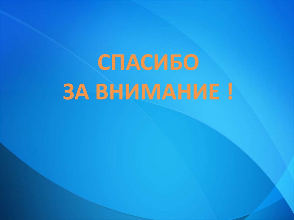 Спасибо за внимание !