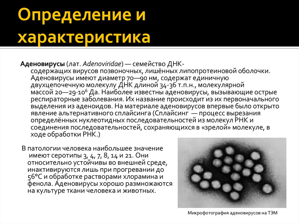 Аденовирусная инфекция симптомы