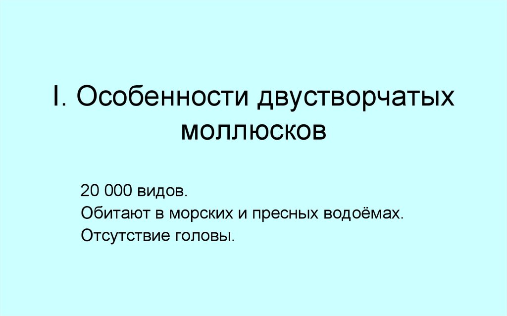 Особенности двустворчатых моллюсков