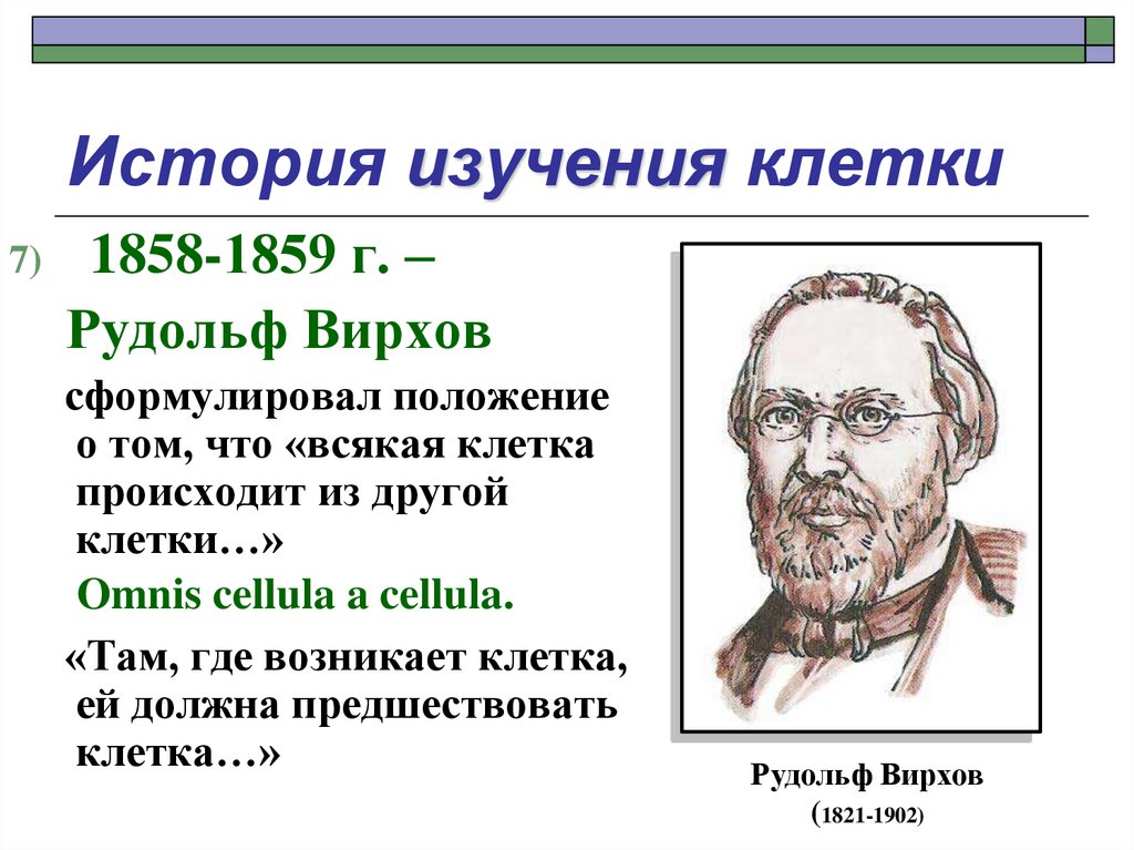 История изучения групп. 1858 Вирхов.